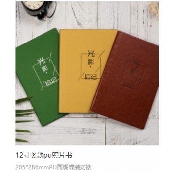 12寸竖款pu照片书