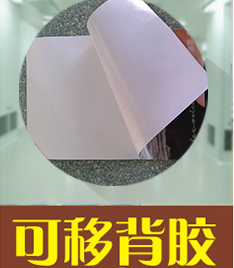 写真喷画-可移背胶