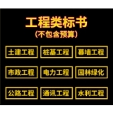 工程类标书